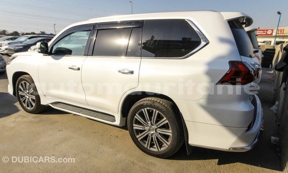 Acheter Import Voiture Lexus LX Blanc à Import - Dubai, Adrar