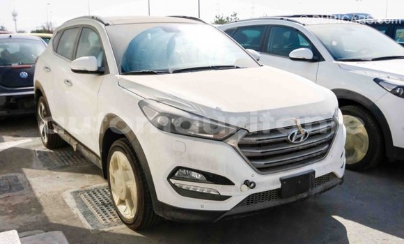 Acheter Import Voiture Hyundai Tucson Blanc à Import - Dubai, Adrar Acheter Import Voiture Hyundai Tucson Blanc à Import - Dubai, Adrar