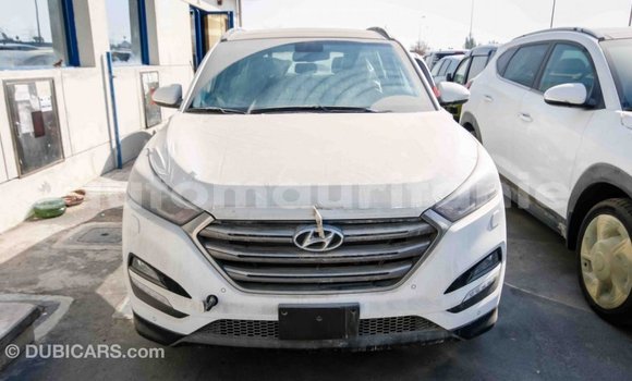 Acheter Import Voiture Hyundai Tucson Blanc à Import - Dubai, Adrar Acheter Import Voiture Hyundai Tucson Blanc à Import - Dubai, Adrar