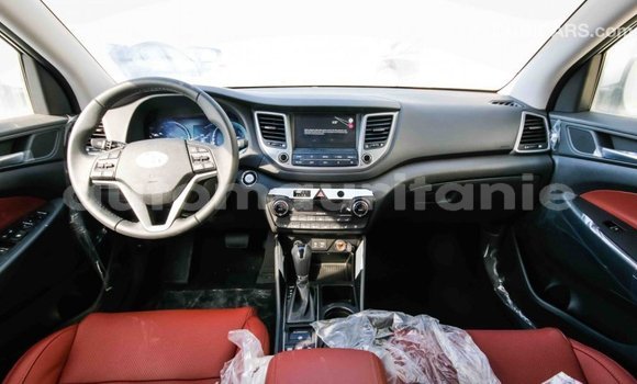 Acheter Import Voiture Hyundai Tucson Blanc à Import - Dubai, Adrar Acheter Import Voiture Hyundai Tucson Blanc à Import - Dubai, Adrar