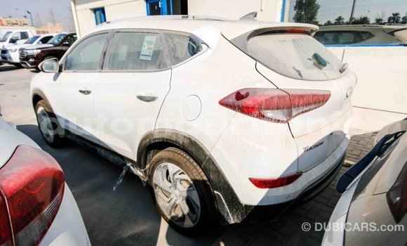 Acheter Import Voiture Hyundai Tucson Blanc à Import - Dubai, Adrar Acheter Import Voiture Hyundai Tucson Blanc à Import - Dubai, Adrar