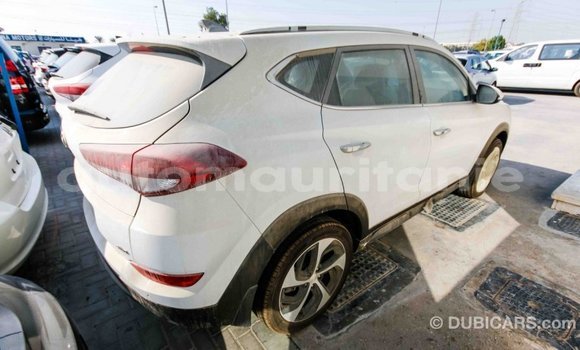 Acheter Import Voiture Hyundai Tucson Blanc à Import - Dubai, Adrar Acheter Import Voiture Hyundai Tucson Blanc à Import - Dubai, Adrar