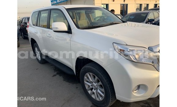Acheter Import Voiture Toyota Prado Blanc à Import - Dubai, Adrar Acheter Import Voiture Toyota Prado Blanc à Import - Dubai, Adrar