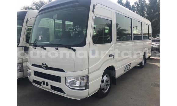 Acheter Import Voiture Toyota Coaster Blanc à Import - Dubai, Adrar Acheter Import Voiture Toyota Coaster Blanc à Import - Dubai, Adrar