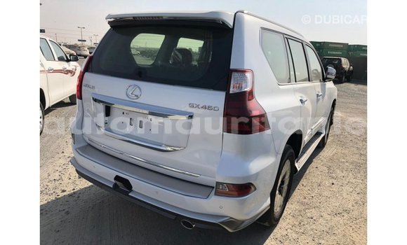 Buy Import Lexus GX White Car in Import - Dubai in Adrar Buy Import Lexus GX White Car in Import - Dubai in Adrar
