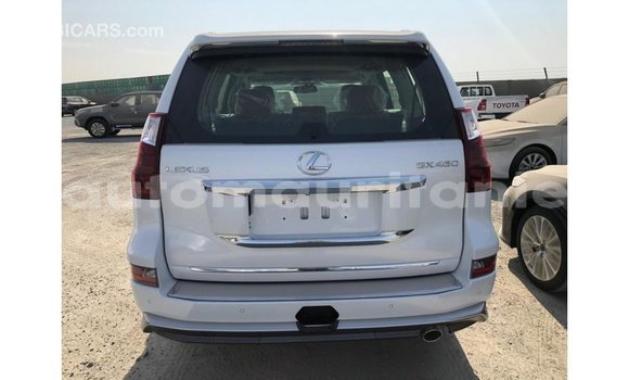 Buy Import Lexus GX White Car in Import - Dubai in Adrar Buy Import Lexus GX White Car in Import - Dubai in Adrar