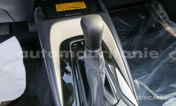 Acheter Import Voiture Toyota Corolla Blanc à Import - Dubai, Adrar Acheter Import Voiture Toyota Corolla Blanc à Import - Dubai, Adrar