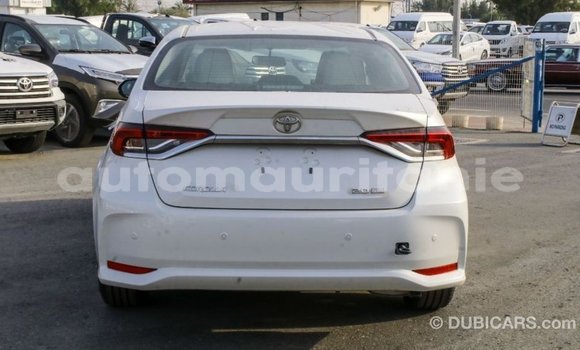 Acheter Import Voiture Toyota Corolla Blanc à Import - Dubai, Adrar Acheter Import Voiture Toyota Corolla Blanc à Import - Dubai, Adrar