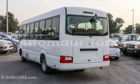 Acheter Import Voiture Toyota Coaster Blanc à Import - Dubai, Adrar Acheter Import Voiture Toyota Coaster Blanc à Import - Dubai, Adrar