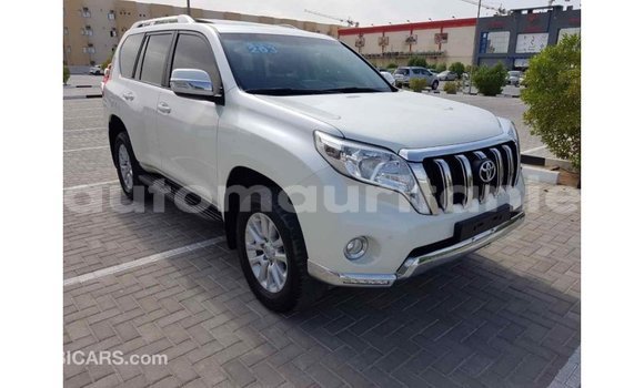 Acheter Import Voiture Toyota Prado Blanc à Import - Dubai, Adrar Acheter Import Voiture Toyota Prado Blanc à Import - Dubai, Adrar