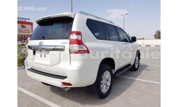 Acheter Import Voiture Toyota Prado Blanc à Import - Dubai, Adrar Acheter Import Voiture Toyota Prado Blanc à Import - Dubai, Adrar