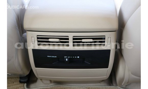 Buy Import Toyota Land Cruiser Black Car in Import - Dubai in Adrar Buy Import Toyota Land Cruiser Black Car in Import - Dubai in Adrar