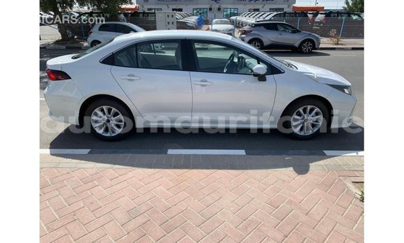 Buy Import Toyota Corolla White Car in Import - Dubai in Adrar Buy Import Toyota Corolla White Car in Import - Dubai in Adrar