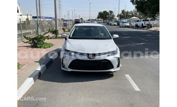 Buy Import Toyota Corolla White Car in Import - Dubai in Adrar Buy Import Toyota Corolla White Car in Import - Dubai in Adrar