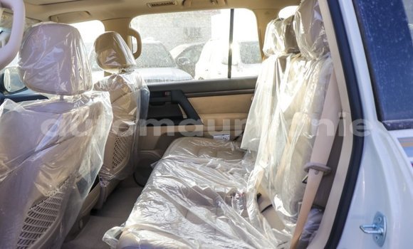 Acheter Import Voiture Toyota Land Cruiser Blanc à Import - Dubai, Adrar Acheter Import Voiture Toyota Land Cruiser Blanc à Import - Dubai, Adrar