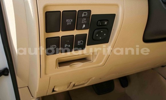 Acheter Import Voiture Toyota Land Cruiser Blanc à Import - Dubai, Adrar Acheter Import Voiture Toyota Land Cruiser Blanc à Import - Dubai, Adrar