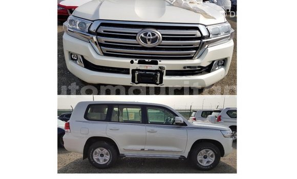 Acheter Import Voiture Toyota Land Cruiser Blanc à Import - Dubai, Adrar Acheter Import Voiture Toyota Land Cruiser Blanc à Import - Dubai, Adrar