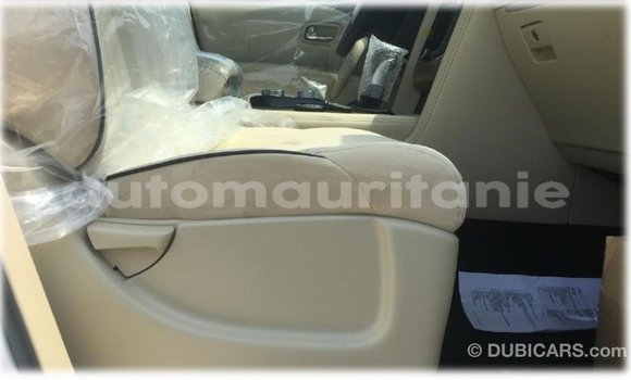 Acheter Import Voiture Nissan Patrol Blanc à Import - Dubai, Adrar Acheter Import Voiture Nissan Patrol Blanc à Import - Dubai, Adrar
