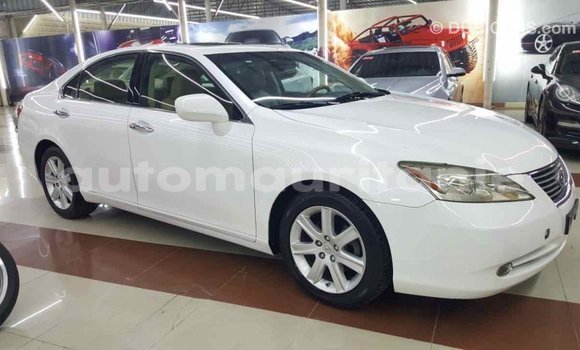 Buy Import Lexus ES White Car in Import - Dubai in Adrar Buy Import Lexus ES White Car in Import - Dubai in Adrar