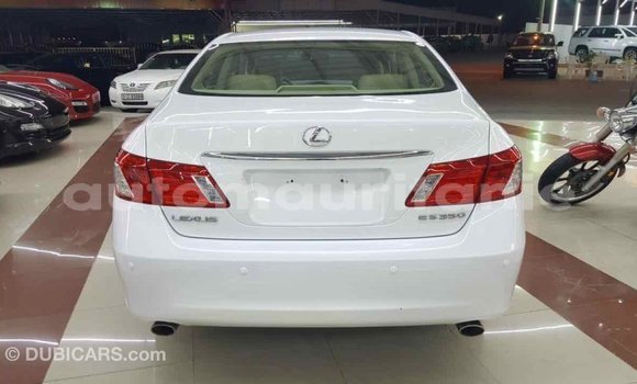 Acheter Import Voiture Lexus ES Blanc à Import - Dubai, Adrar