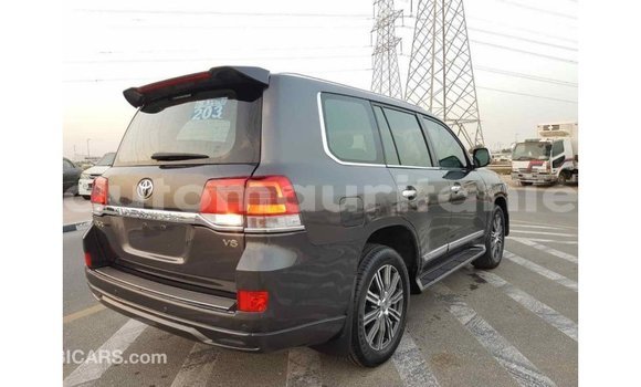 Acheter Import Voiture Toyota Land Cruiser Autre à Import - Dubai, Adrar Acheter Import Voiture Toyota Land Cruiser Autre à Import - Dubai, Adrar