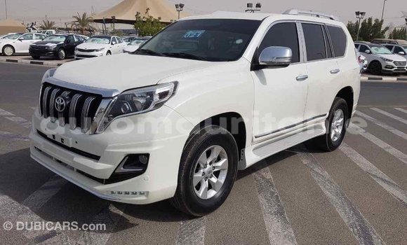Acheter Import Voiture Toyota Prado Blanc à Import - Dubai, Adrar Acheter Import Voiture Toyota Prado Blanc à Import - Dubai, Adrar