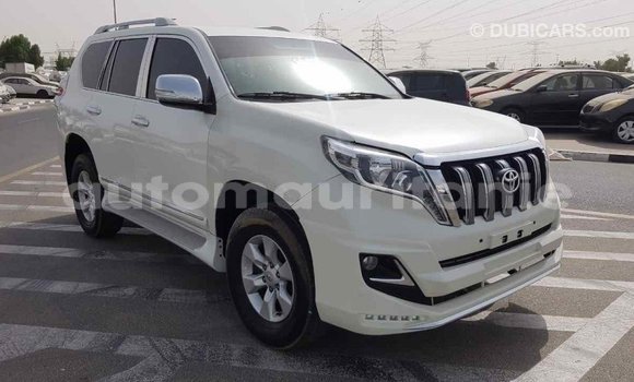 Acheter Import Voiture Toyota Prado Blanc à Import - Dubai, Adrar Acheter Import Voiture Toyota Prado Blanc à Import - Dubai, Adrar
