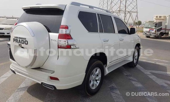 Acheter Import Voiture Toyota Prado Blanc à Import - Dubai, Adrar Acheter Import Voiture Toyota Prado Blanc à Import - Dubai, Adrar