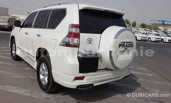 Acheter Import Voiture Toyota Prado Blanc à Import - Dubai, Adrar Acheter Import Voiture Toyota Prado Blanc à Import - Dubai, Adrar