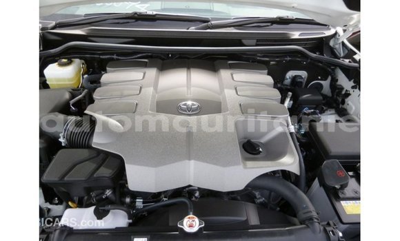 Acheter Import Voiture Toyota Land Cruiser Blanc à Import - Dubai, Adrar Acheter Import Voiture Toyota Land Cruiser Blanc à Import - Dubai, Adrar