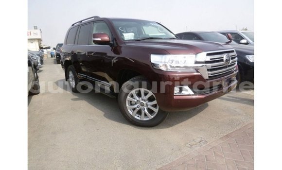 Acheter Import Voiture Toyota Land Cruiser Autre à Import - Dubai, Adrar Acheter Import Voiture Toyota Land Cruiser Autre à Import - Dubai, Adrar
