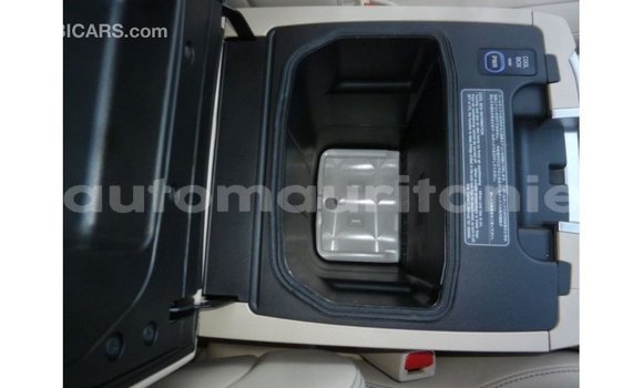 Acheter Import Voiture Toyota Land Cruiser Noir à Import - Dubai, Adrar Acheter Import Voiture Toyota Land Cruiser Noir à Import - Dubai, Adrar