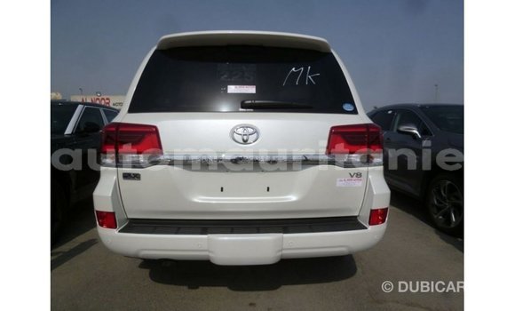 Buy Import Toyota Land Cruiser White Car in Import - Dubai in Adrar Buy Import Toyota Land Cruiser White Car in Import - Dubai in Adrar