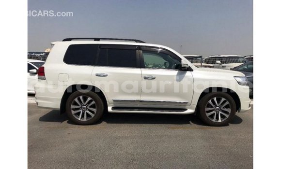 Acheter Import Voiture Toyota Land Cruiser Blanc à Import - Dubai, Adrar Acheter Import Voiture Toyota Land Cruiser Blanc à Import - Dubai, Adrar