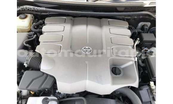 Acheter Import Voiture Toyota Land Cruiser Blanc à Import - Dubai, Adrar Acheter Import Voiture Toyota Land Cruiser Blanc à Import - Dubai, Adrar