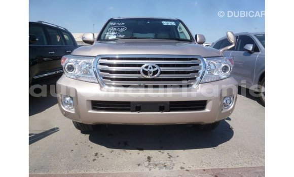 Acheter Import Voiture Toyota Land Cruiser Autre à Import - Dubai, Adrar Acheter Import Voiture Toyota Land Cruiser Autre à Import - Dubai, Adrar