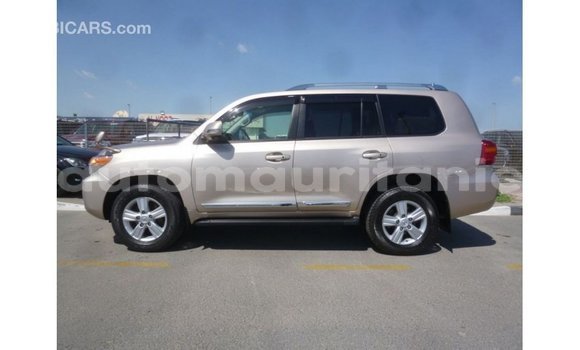 Acheter Import Voiture Toyota Land Cruiser Autre à Import - Dubai, Adrar Acheter Import Voiture Toyota Land Cruiser Autre à Import - Dubai, Adrar