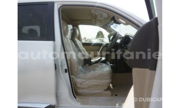 Acheter Import Voiture Toyota Prado Blanc à Import - Dubai, Adrar Acheter Import Voiture Toyota Prado Blanc à Import - Dubai, Adrar