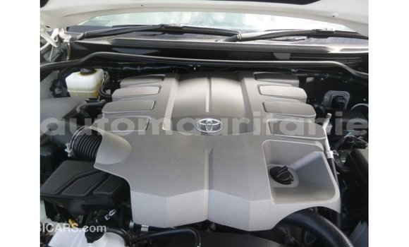 Acheter Import Voiture Toyota Land Cruiser Blanc à Import - Dubai, Adrar Acheter Import Voiture Toyota Land Cruiser Blanc à Import - Dubai, Adrar