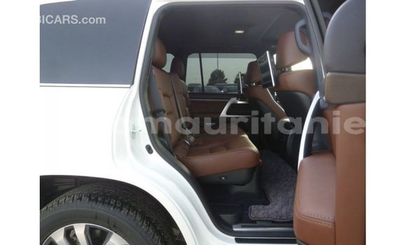 Buy Import Toyota Land Cruiser White Car in Import - Dubai in Adrar Buy Import Toyota Land Cruiser White Car in Import - Dubai in Adrar