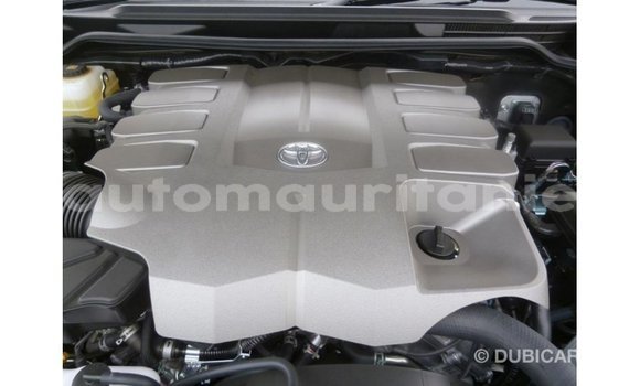 Buy Import Toyota Land Cruiser Black Car in Import - Dubai in Adrar Buy Import Toyota Land Cruiser Black Car in Import - Dubai in Adrar