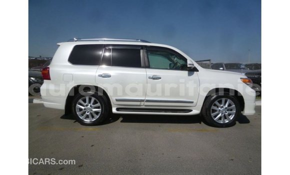 Acheter Import Voiture Toyota Land Cruiser Blanc à Import - Dubai, Adrar Acheter Import Voiture Toyota Land Cruiser Blanc à Import - Dubai, Adrar