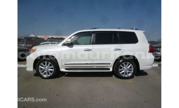 Acheter Import Voiture Toyota Land Cruiser Blanc à Import - Dubai, Adrar Acheter Import Voiture Toyota Land Cruiser Blanc à Import - Dubai, Adrar