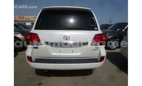 Acheter Import Voiture Toyota Land Cruiser Blanc à Import - Dubai, Adrar Acheter Import Voiture Toyota Land Cruiser Blanc à Import - Dubai, Adrar