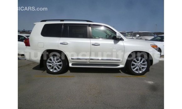 Acheter Import Voiture Toyota Land Cruiser Blanc à Import - Dubai, Adrar Acheter Import Voiture Toyota Land Cruiser Blanc à Import - Dubai, Adrar