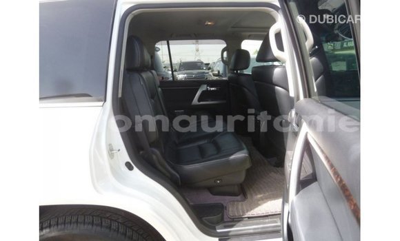 Acheter Import Voiture Toyota Land Cruiser Blanc à Import - Dubai, Adrar Acheter Import Voiture Toyota Land Cruiser Blanc à Import - Dubai, Adrar