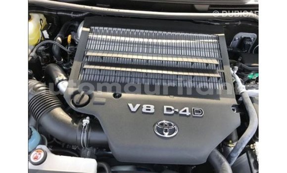 Buy Import Toyota Land Cruiser White Car in Import - Dubai in Adrar Buy Import Toyota Land Cruiser White Car in Import - Dubai in Adrar