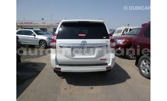 Buy Import Toyota Prado White Car in Import - Dubai in Adrar Buy Import Toyota Prado White Car in Import - Dubai in Adrar