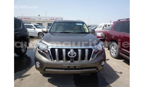 Acheter Import Voiture Toyota Prado Marron à Import - Dubai, Adrar Acheter Import Voiture Toyota Prado Marron à Import - Dubai, Adrar