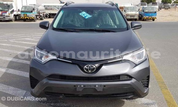 Acheter Import Voiture Toyota RAV4 Autre à Import - Dubai, Adrar Acheter Import Voiture Toyota RAV4 Autre à Import - Dubai, Adrar